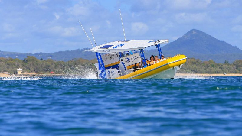 Sports adventure boat trip Noosa Sunshine Coast