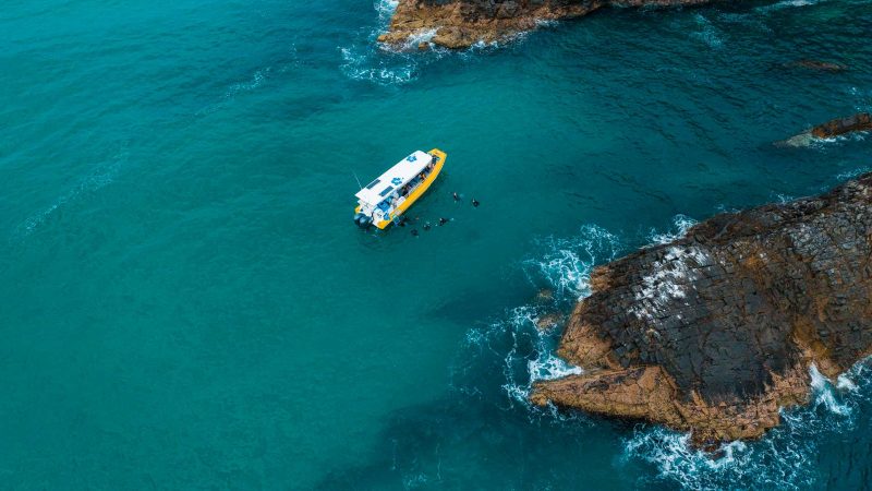 Snorkeling Noosa Sunshine Coast