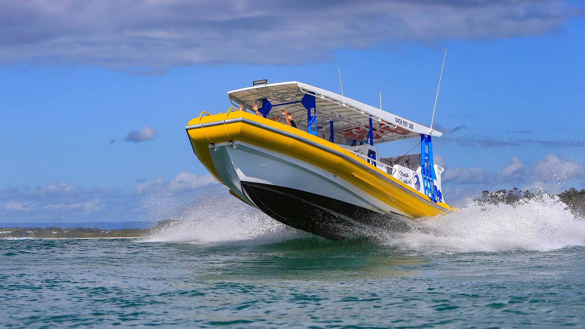 Noosa Wave Noosa Boat Trips Dolphins, Whales & Snorkelling Whale