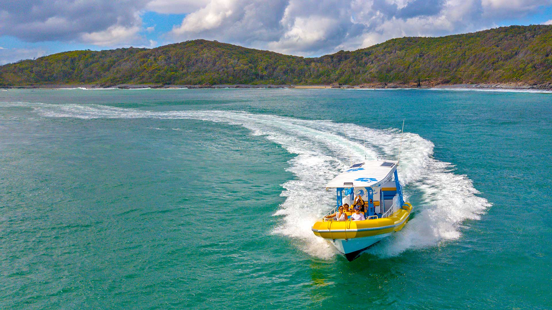 Our boat trips aboard Noosa Wave charter boat snorkeling, whale