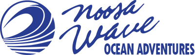 Noosa Wave Ocean Adventures Whale Watching